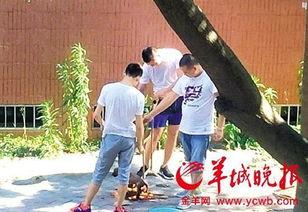 最新汕头爆料事件新闻,事件真相及影响深度解析  第3张