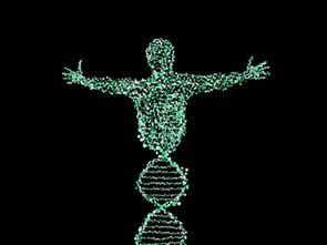 dna 在线观看,在线观看揭示生命密码之旅  第3张