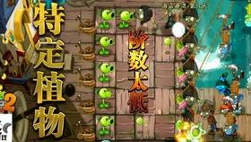 海盗港湾爆料视频完整版,揭秘神秘海盗生活全貌  第3张