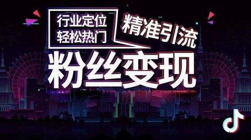 抖音夜景视频爆料选标题,揭秘城市璀璨夜景背后的故事  第3张