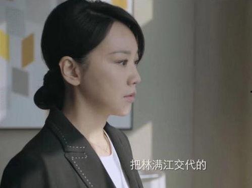 靳东爆料颜妮视频播放,揭秘娱乐圈背后的故事  第2张