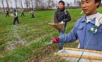 假化肥农药爆料最新消息,最新爆料揭露行业乱象