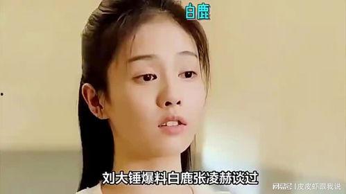 白鹿和张凌赫圈内爆料,揭秘娱乐圈背后的真实故事