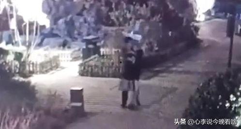 黑网曝吃瓜泄密免费兰州老街,黑网曝吃瓜泄密背后的免费诱惑  第3张