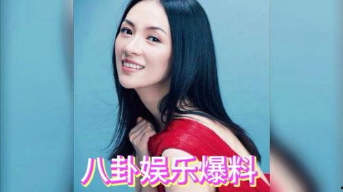 娱乐圈综艺吃瓜爆料小说